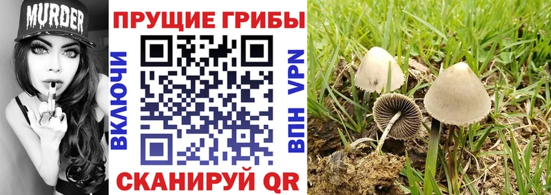 Псилоцибиновые грибы мухоморы  Дегтярск 